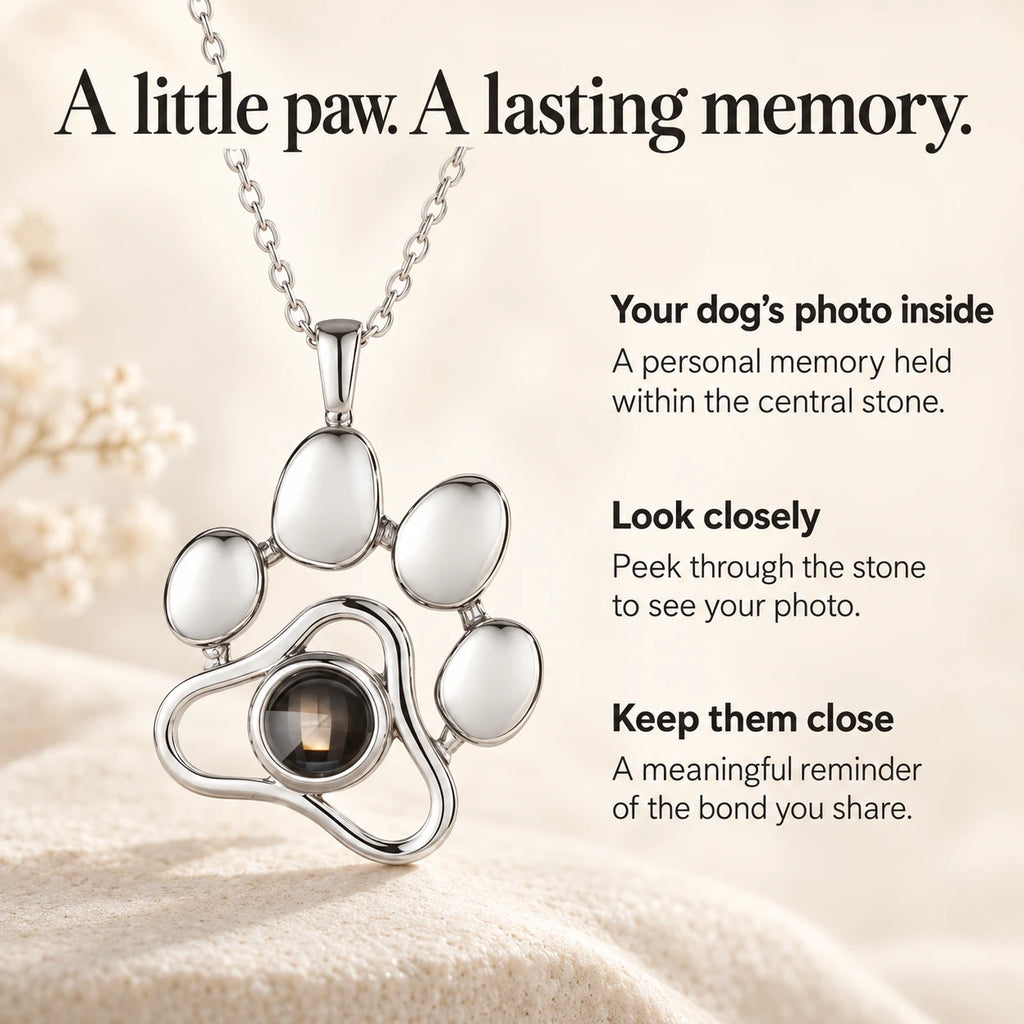 Paw pendant in silver-tone, with notes on how the photo sits inside the stone